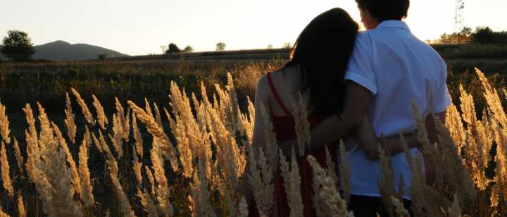 Young couple hugging in meadow